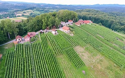 Medvedjek - vinska klet kozlevčar